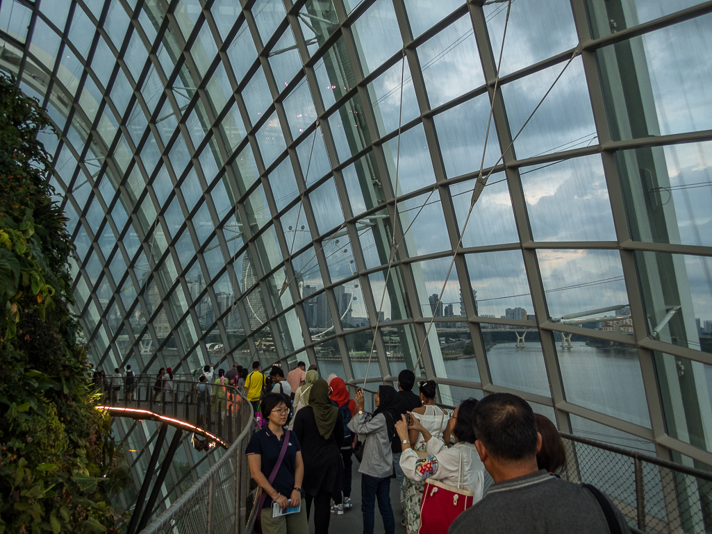 Standard Chartered Singapore Marathon 2018 - Tor Rnnow