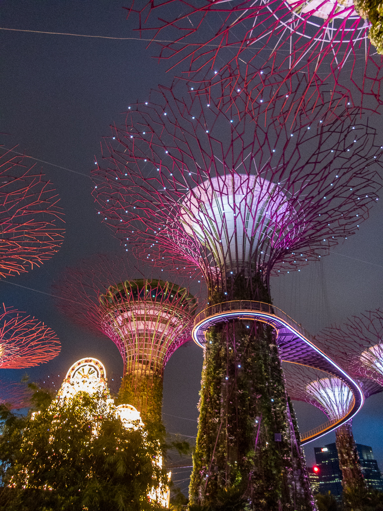 Standard Chartered Singapore Marathon 2018 - Tor Rnnow