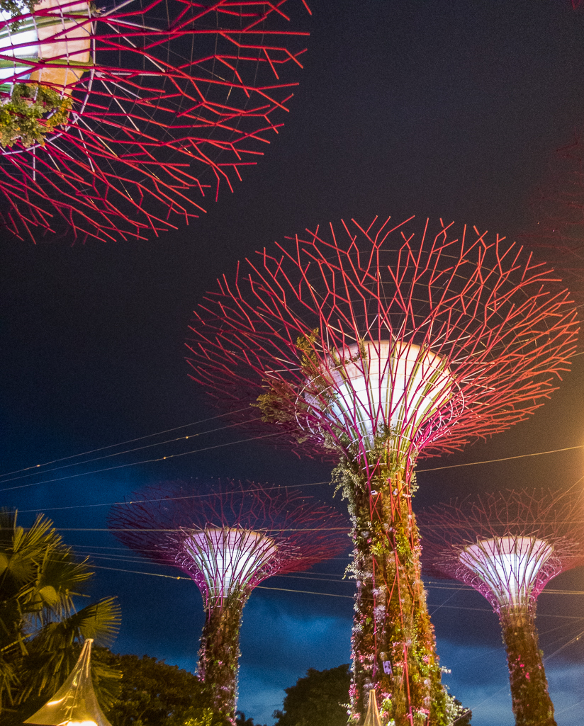 Standard Chartered Singapore Marathon 2018 - Tor Rnnow