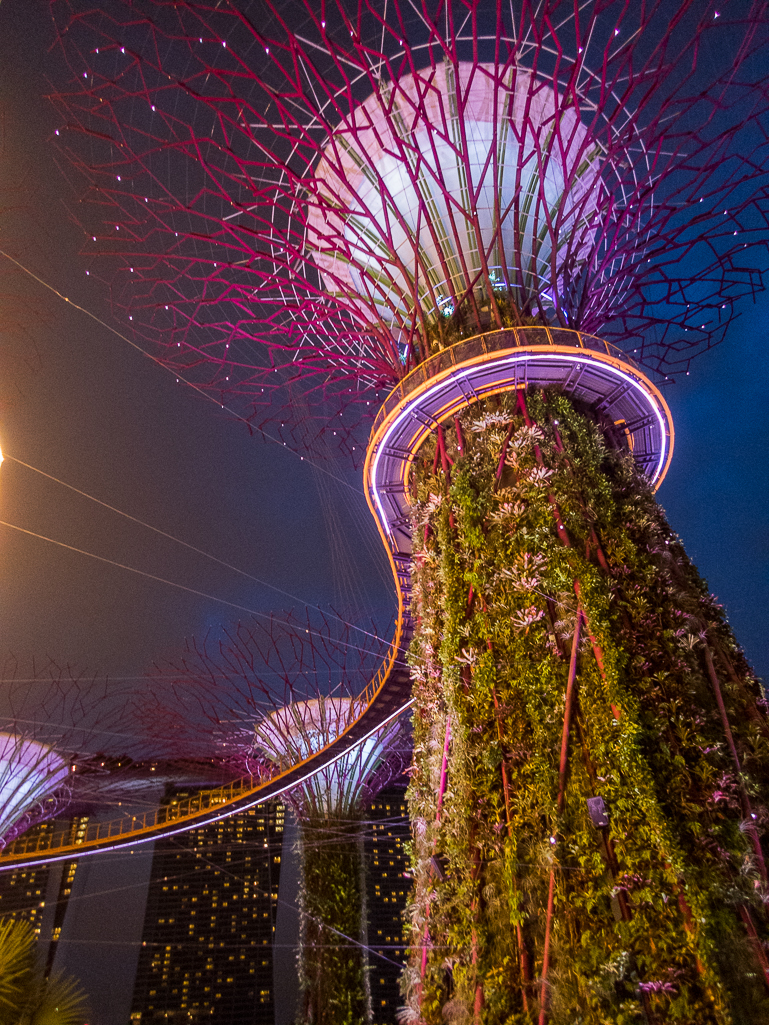 Standard Chartered Singapore Marathon 2018 - Tor Rnnow