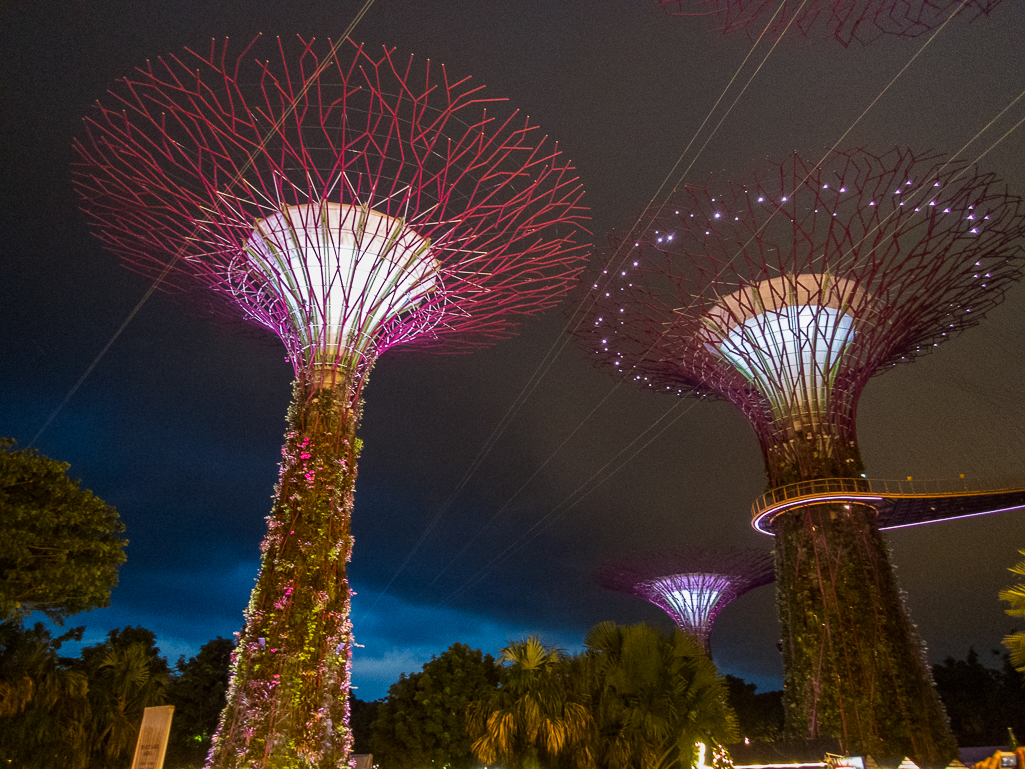 Standard Chartered Singapore Marathon 2018 - Tor Rnnow