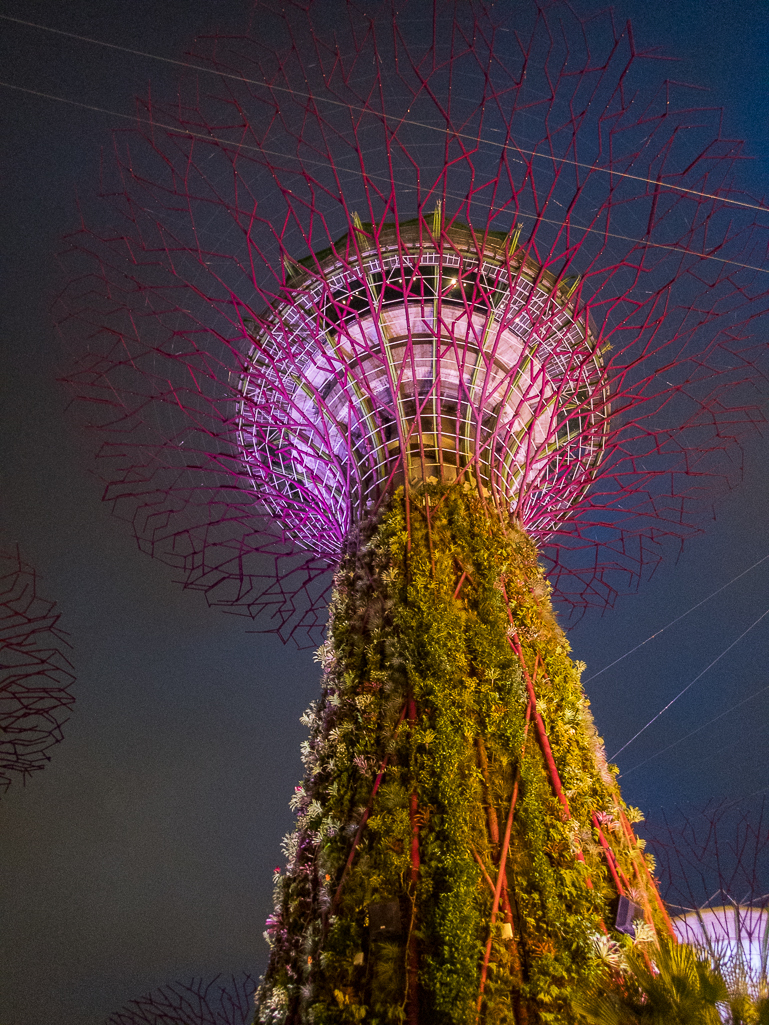 Standard Chartered Singapore Marathon 2018 - Tor Rnnow