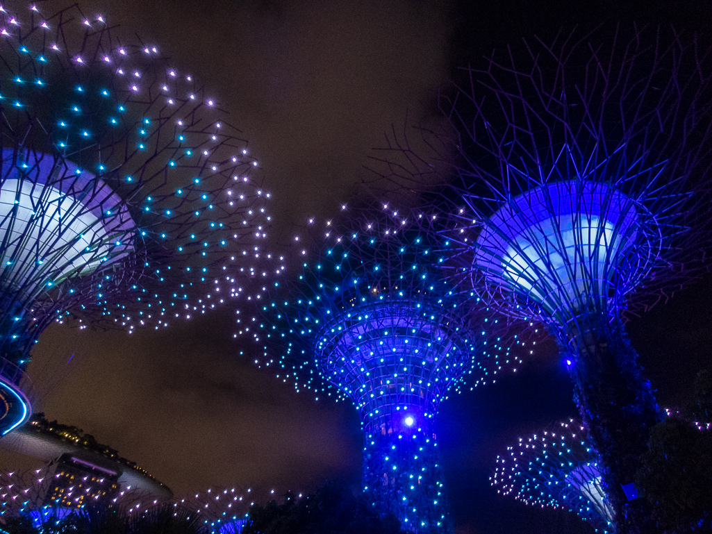 Standard Chartered Singapore Marathon 2018 - Tor Rnnow