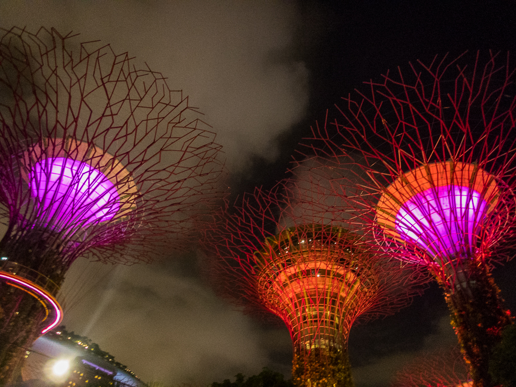 Standard Chartered Singapore Marathon 2018 - Tor Rnnow