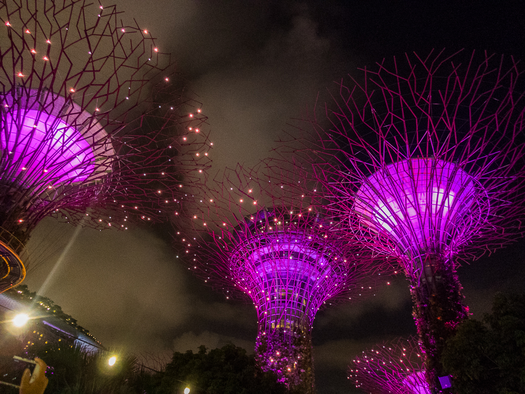 Standard Chartered Singapore Marathon 2018 - Tor Rnnow