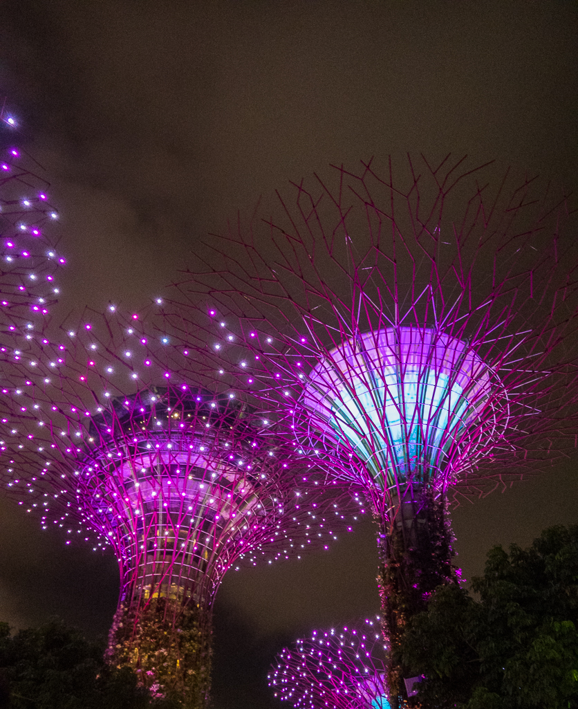 Standard Chartered Singapore Marathon 2018 - Tor Rnnow