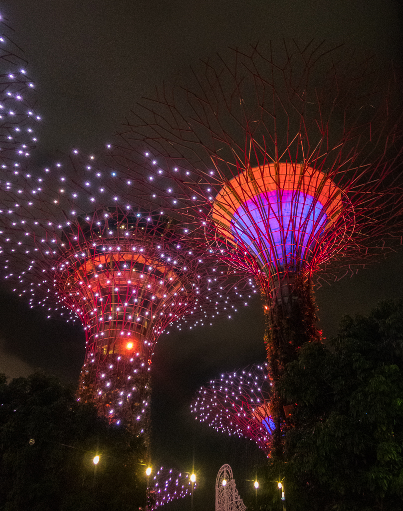 Standard Chartered Singapore Marathon 2018 - Tor Rnnow