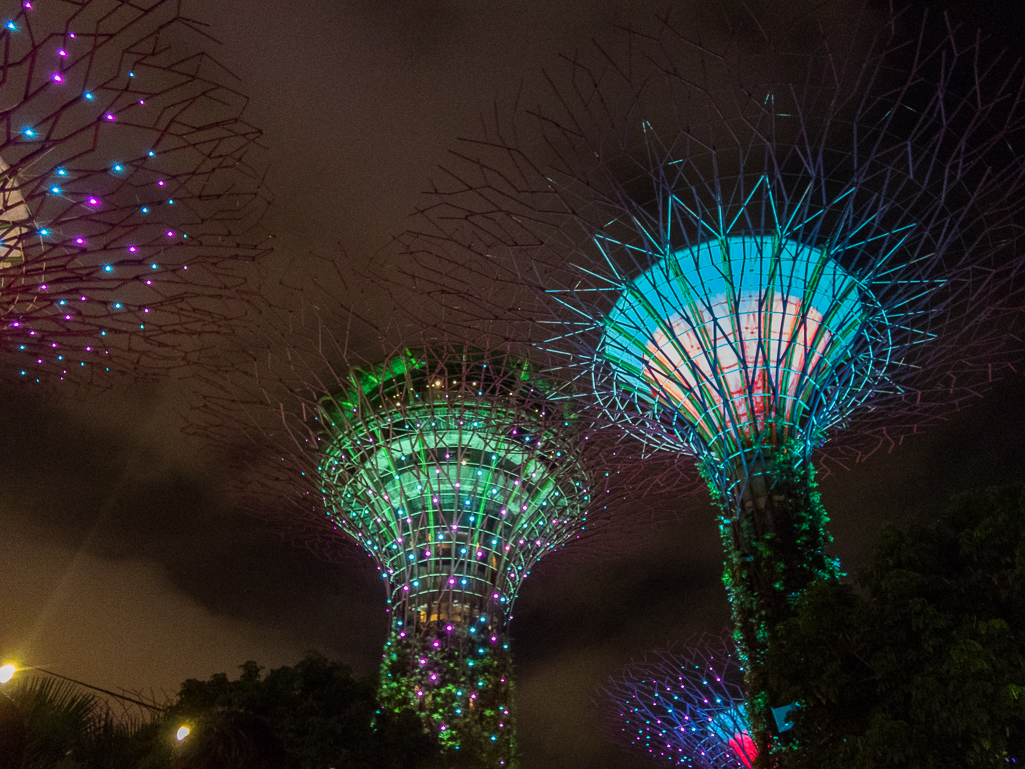 Standard Chartered Singapore Marathon 2018 - Tor Rnnow