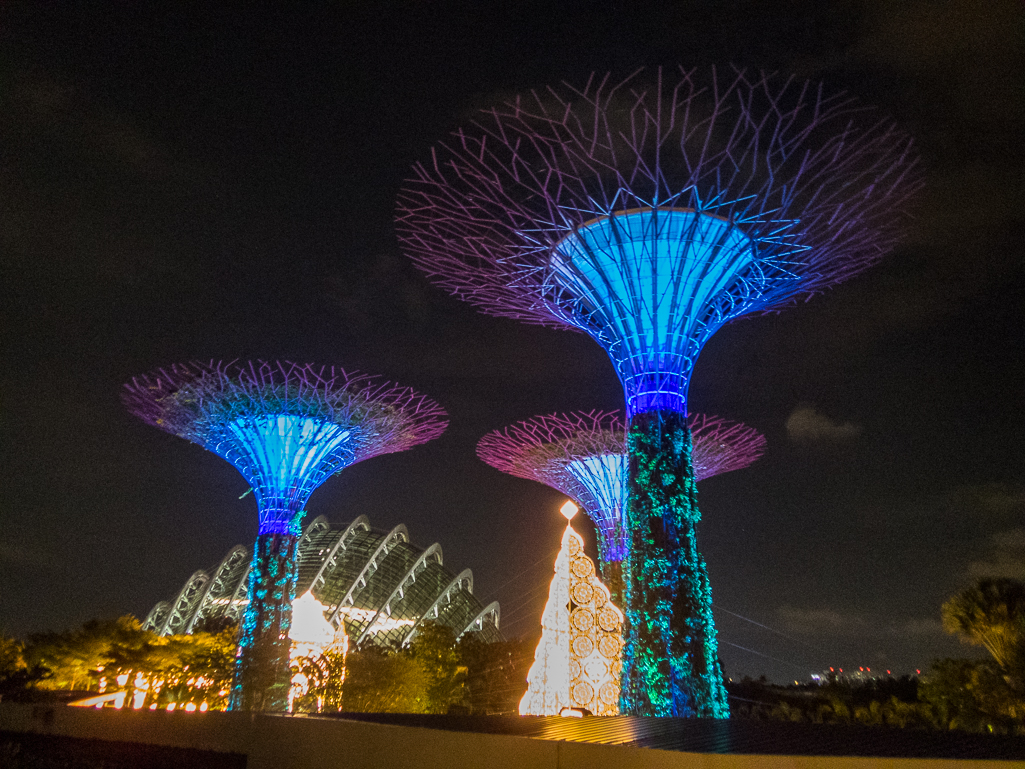 Standard Chartered Singapore Marathon 2018 - Tor Rnnow