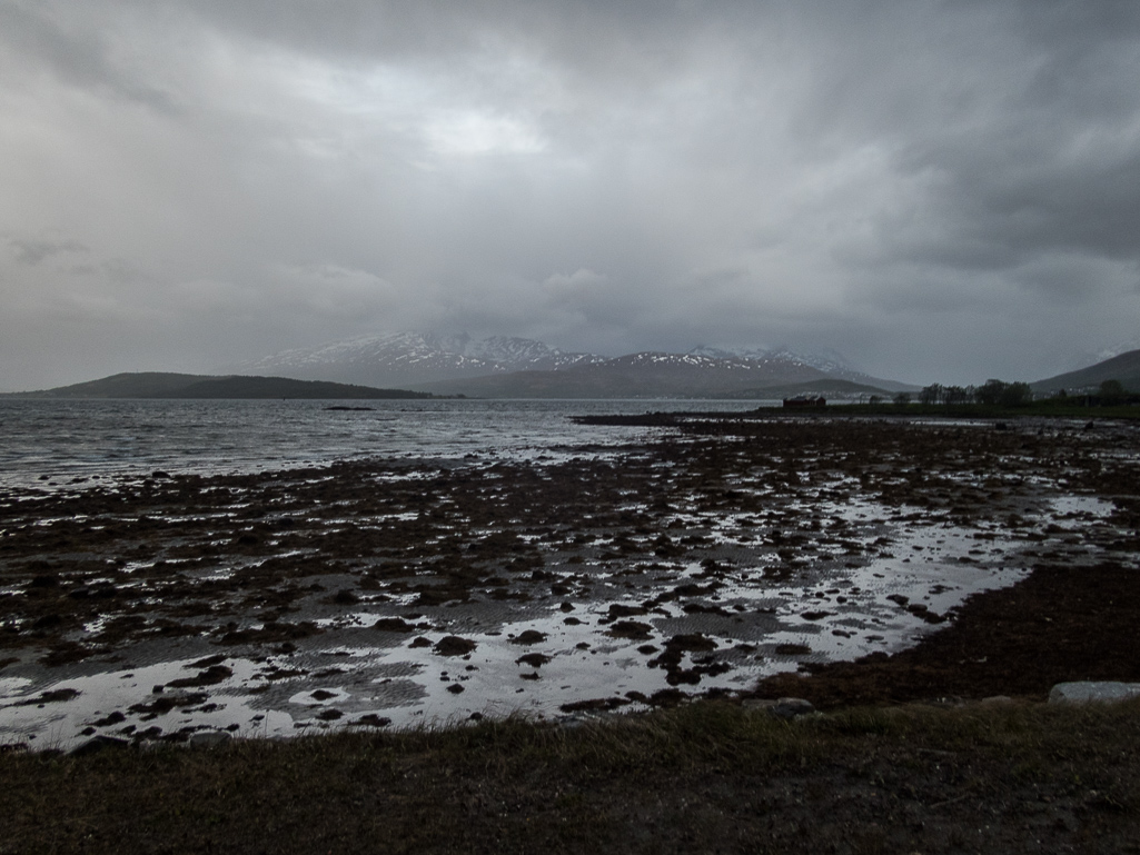 Troms Midnight Sun Marathon 2018 - Tor Rnnow