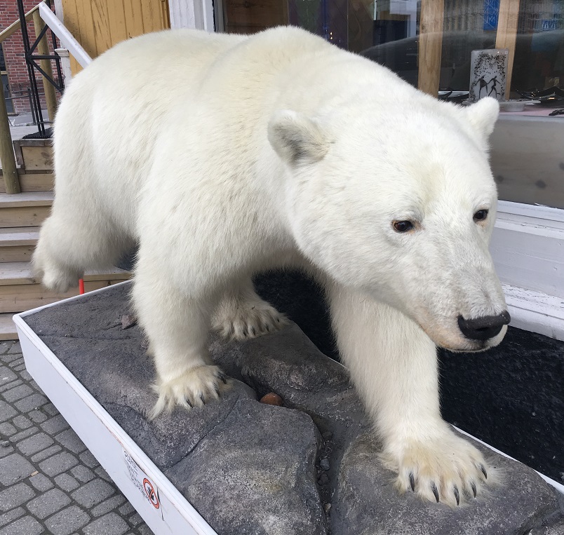 Troms Midnight Sun Marathon 2018 - Tor Rnnow