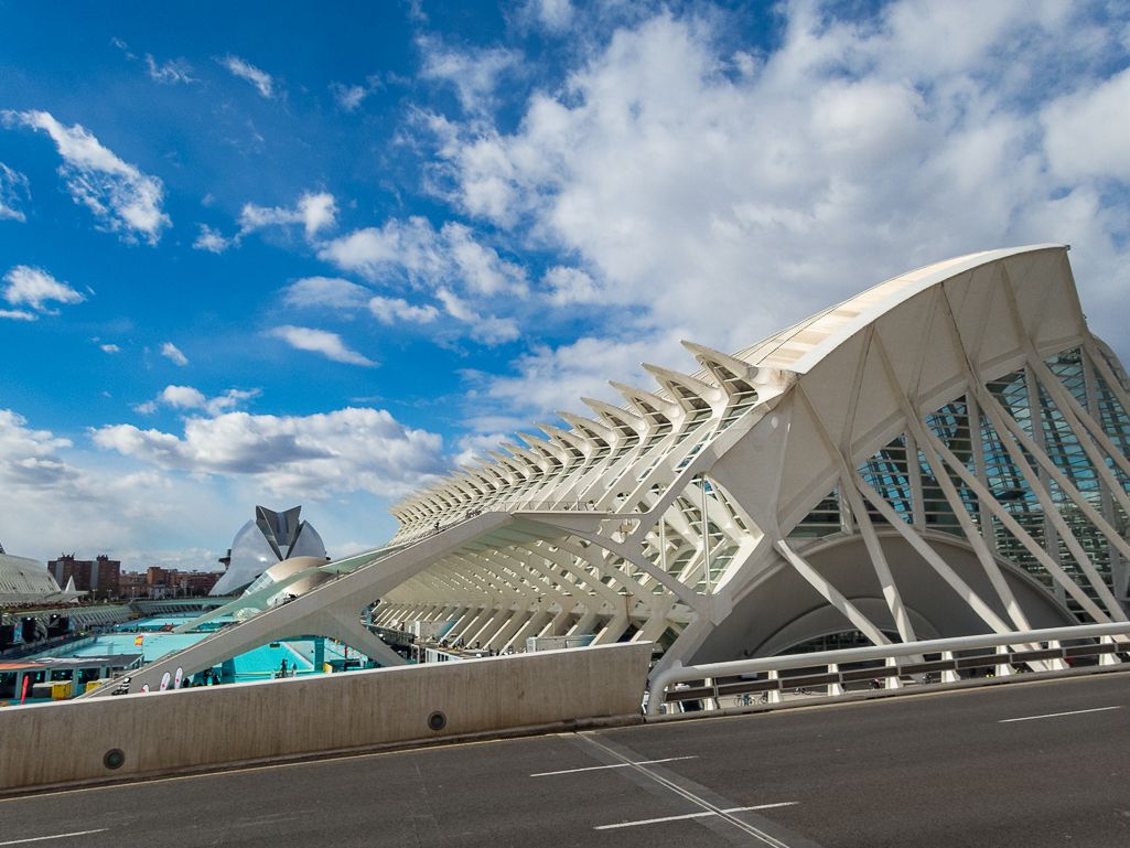 IAAF World Half Marathon Championships Valencia 2018 - Tor Rnnow