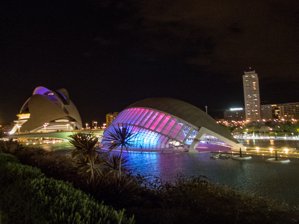 IAAF World Half Marathon Championships Valencia 2018 - Tor Rnnow