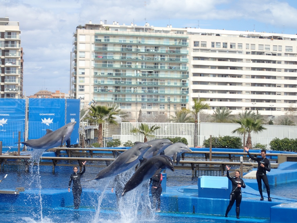 IAAF World Half Marathon Championships Valencia 2018 - Tor Rnnow