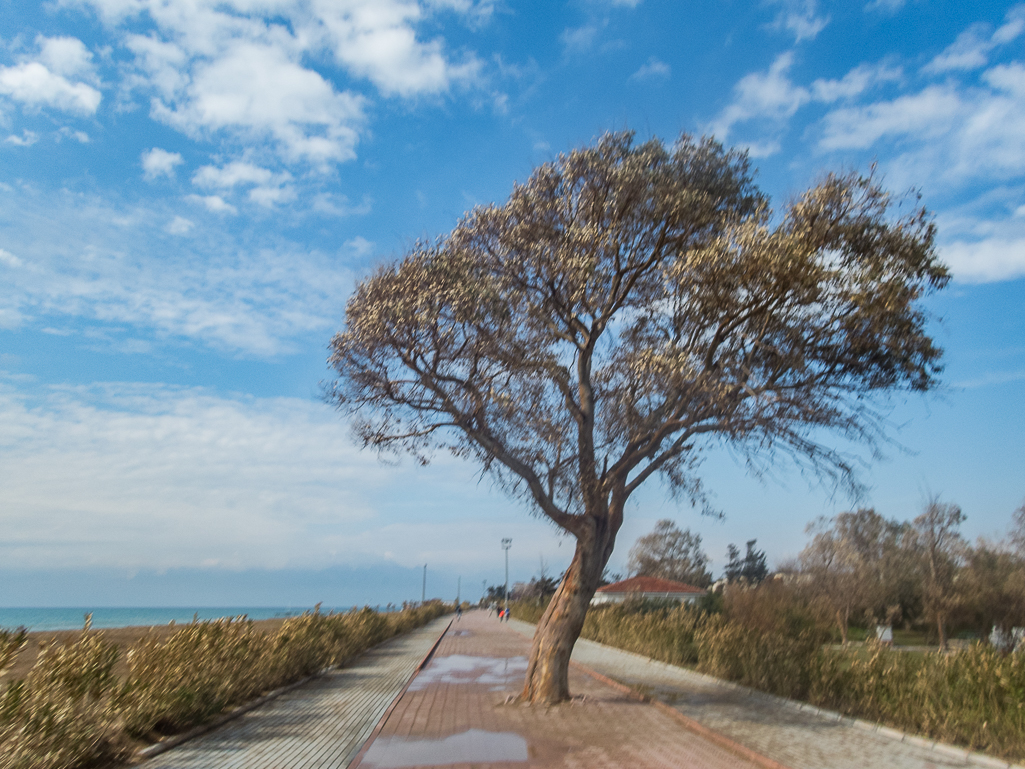 Antalya Marathon 2019 - Turkey - Tor Rnnow