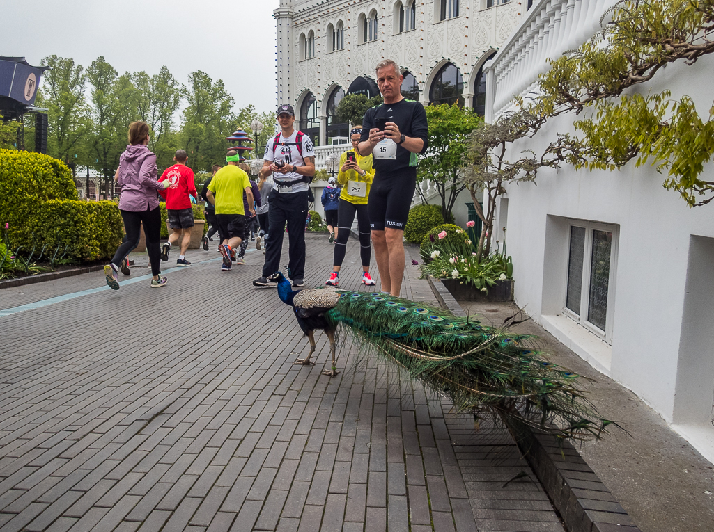 Telenor Copenhagen Marathon 2019 - Tor Rnnow