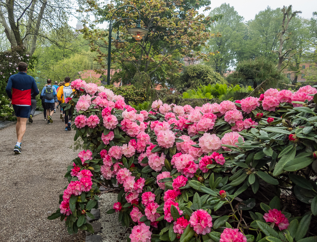 Telenor Copenhagen Marathon 2019 - Tor Rnnow