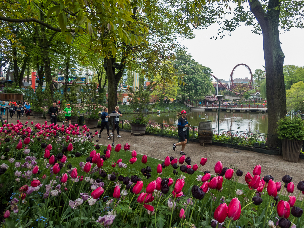 Telenor Copenhagen Marathon 2019 - Tor Rnnow