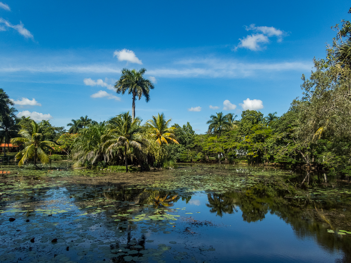 Havana Marathon 2019 - La Habana - Marabana - Tor Rnnow