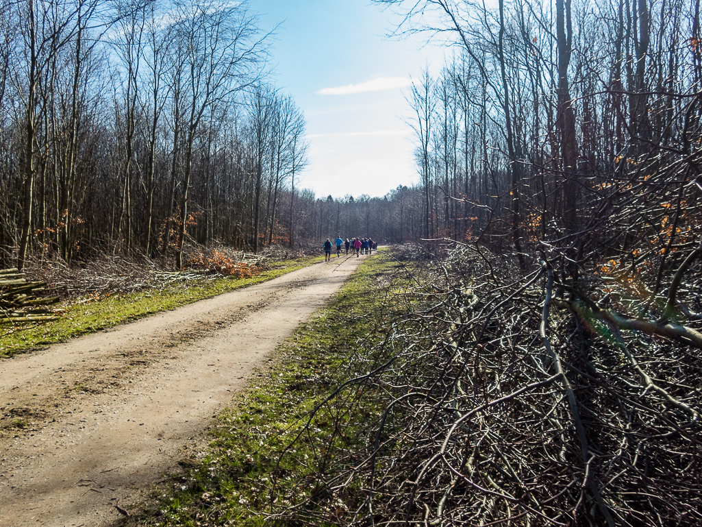 Midt-I-Marathon - Tor Rnnow