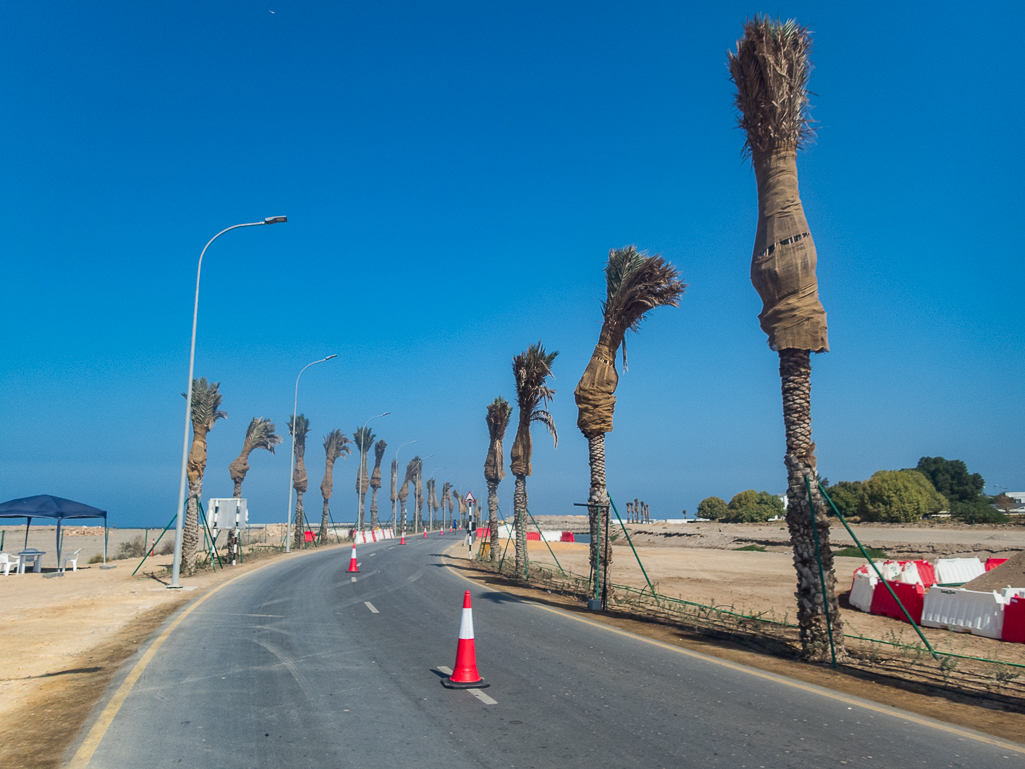 Muscat Marathon 2019 - Tor Rnnow