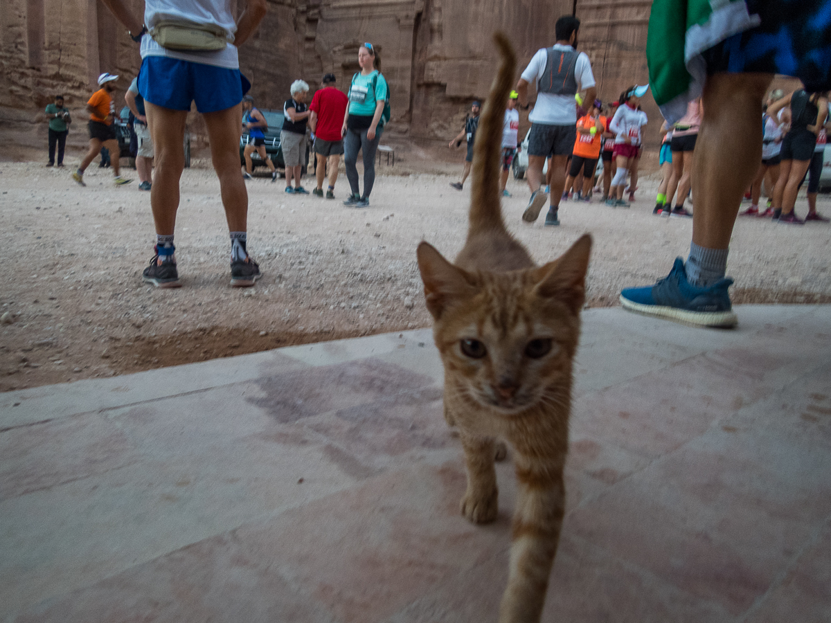 Petra Desert Marathon and the Dead Sea, Jordan - Tor Rnnow