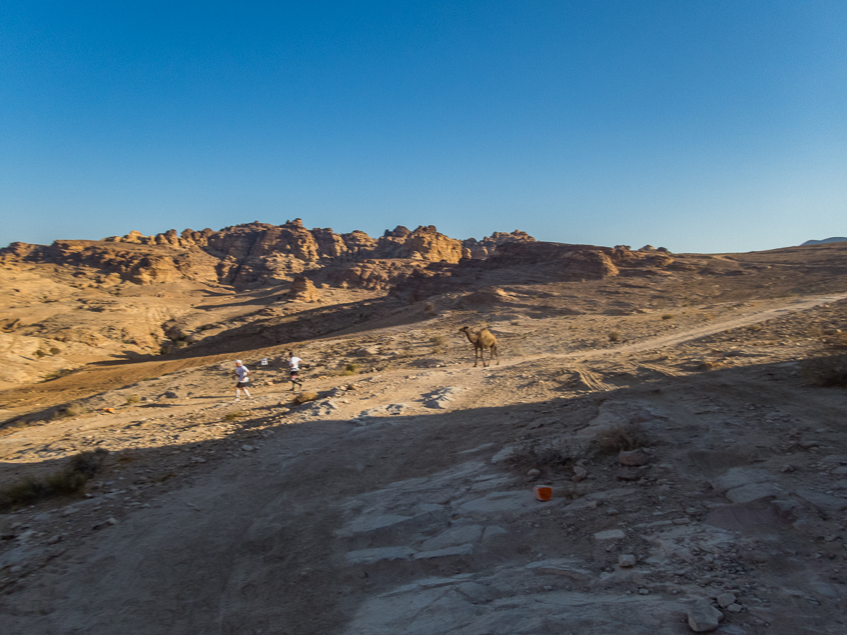 Petra Desert Marathon and the Dead Sea, Jordan - Tor Rnnow