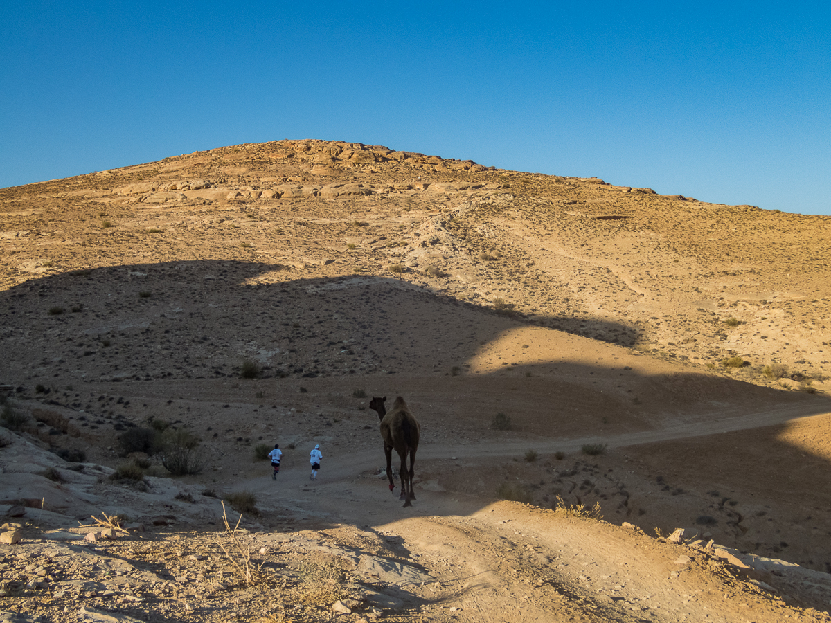 Petra Desert Marathon and the Dead Sea, Jordan - Tor Rnnow