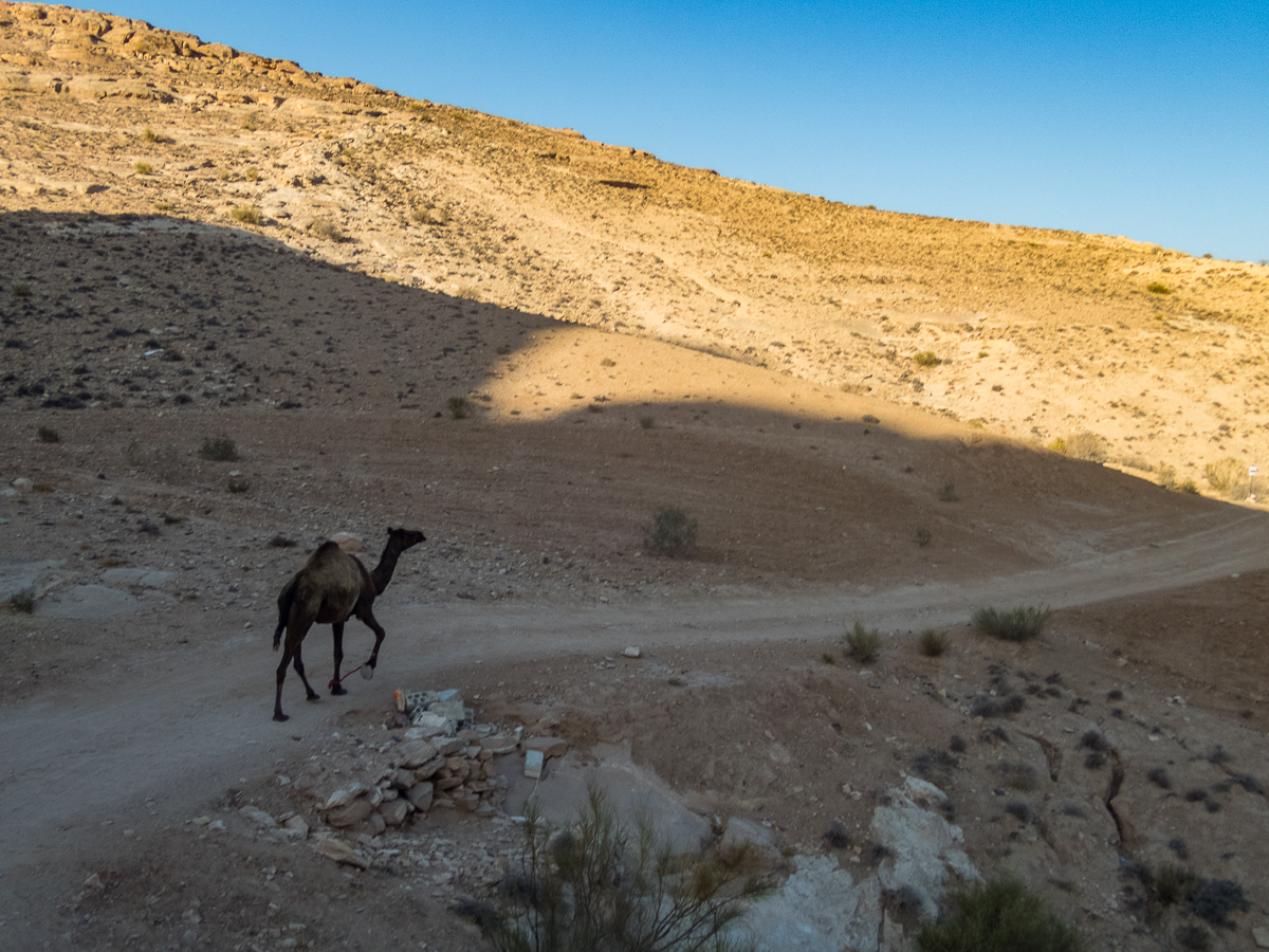 Petra Desert Marathon and the Dead Sea, Jordan - Tor Rnnow