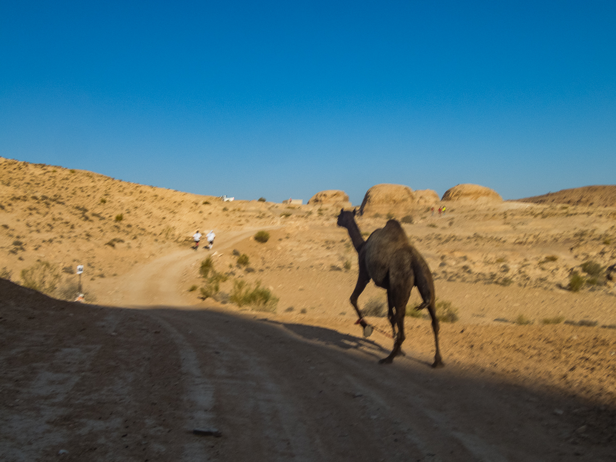 Petra Desert Marathon and the Dead Sea, Jordan - Tor Rnnow