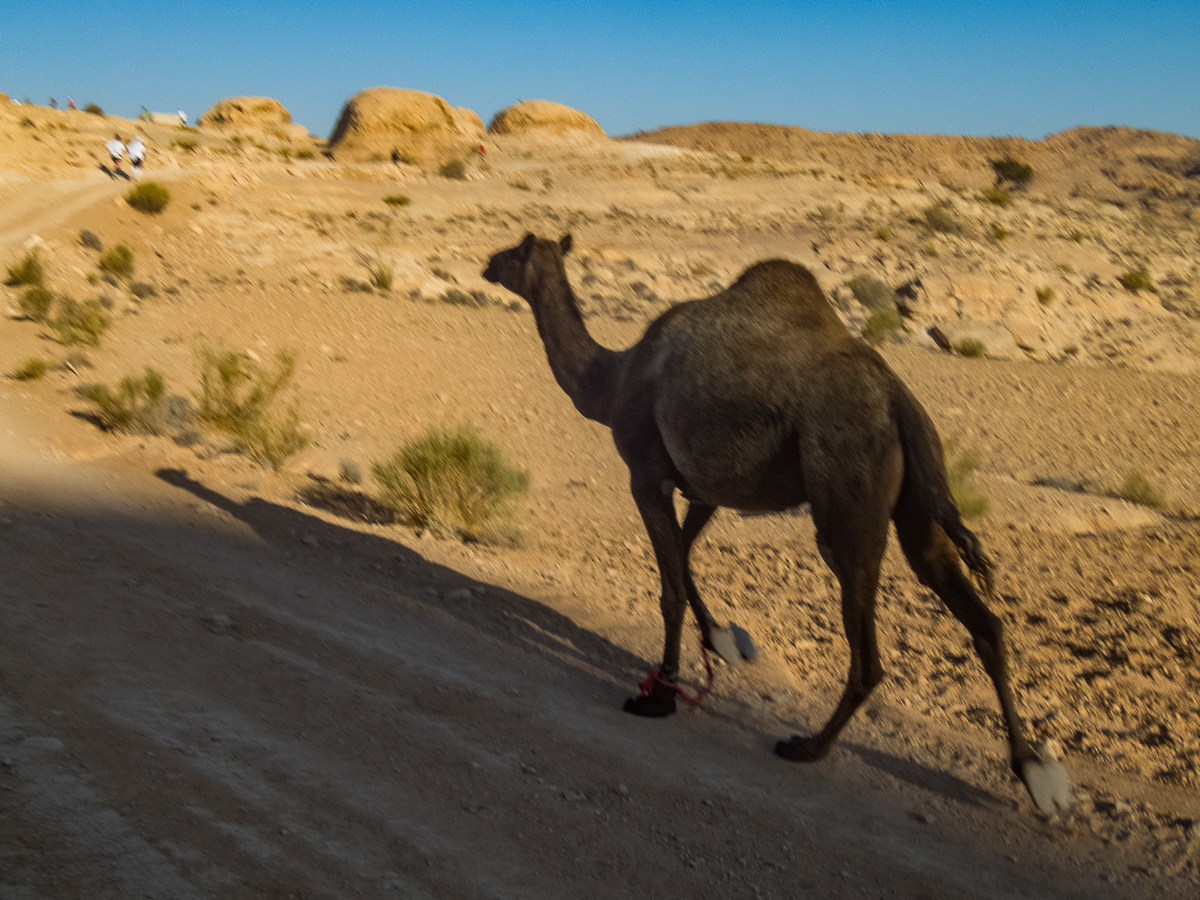 Petra Desert Marathon and the Dead Sea, Jordan - Tor Rnnow