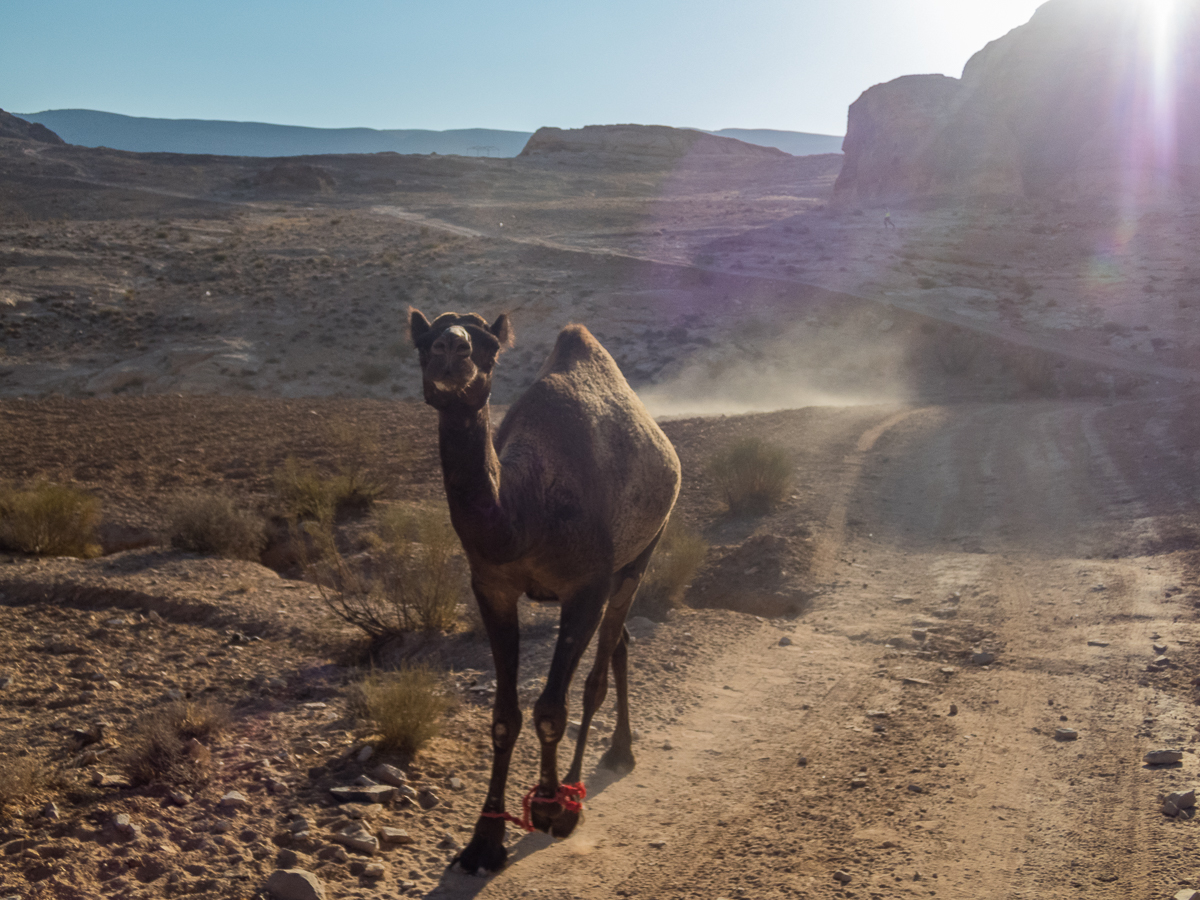 Petra Desert Marathon and the Dead Sea, Jordan - Tor Rnnow