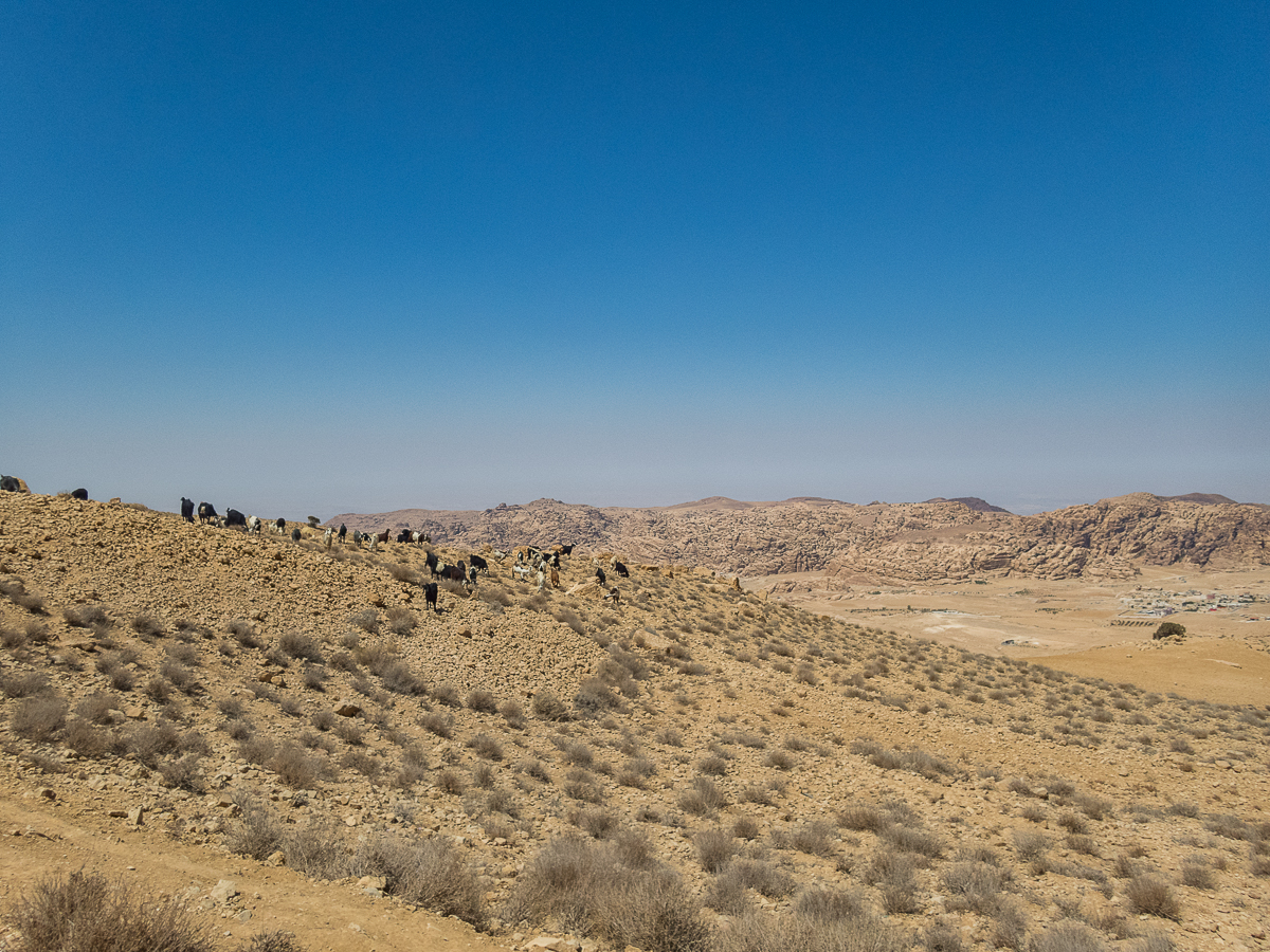 Petra Desert Marathon and the Dead Sea, Jordan - Tor Rnnow