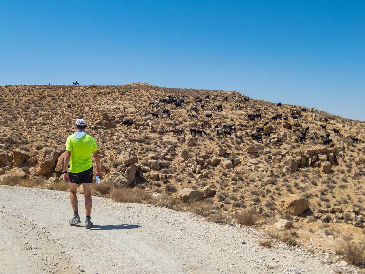 Petra Desert Marathon and the Dead Sea, Jordan - Tor Rnnow