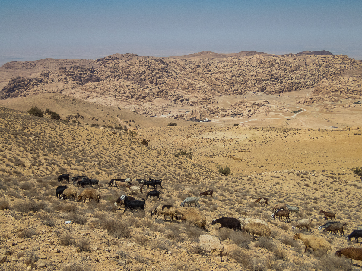 Petra Desert Marathon and the Dead Sea, Jordan - Tor Rnnow