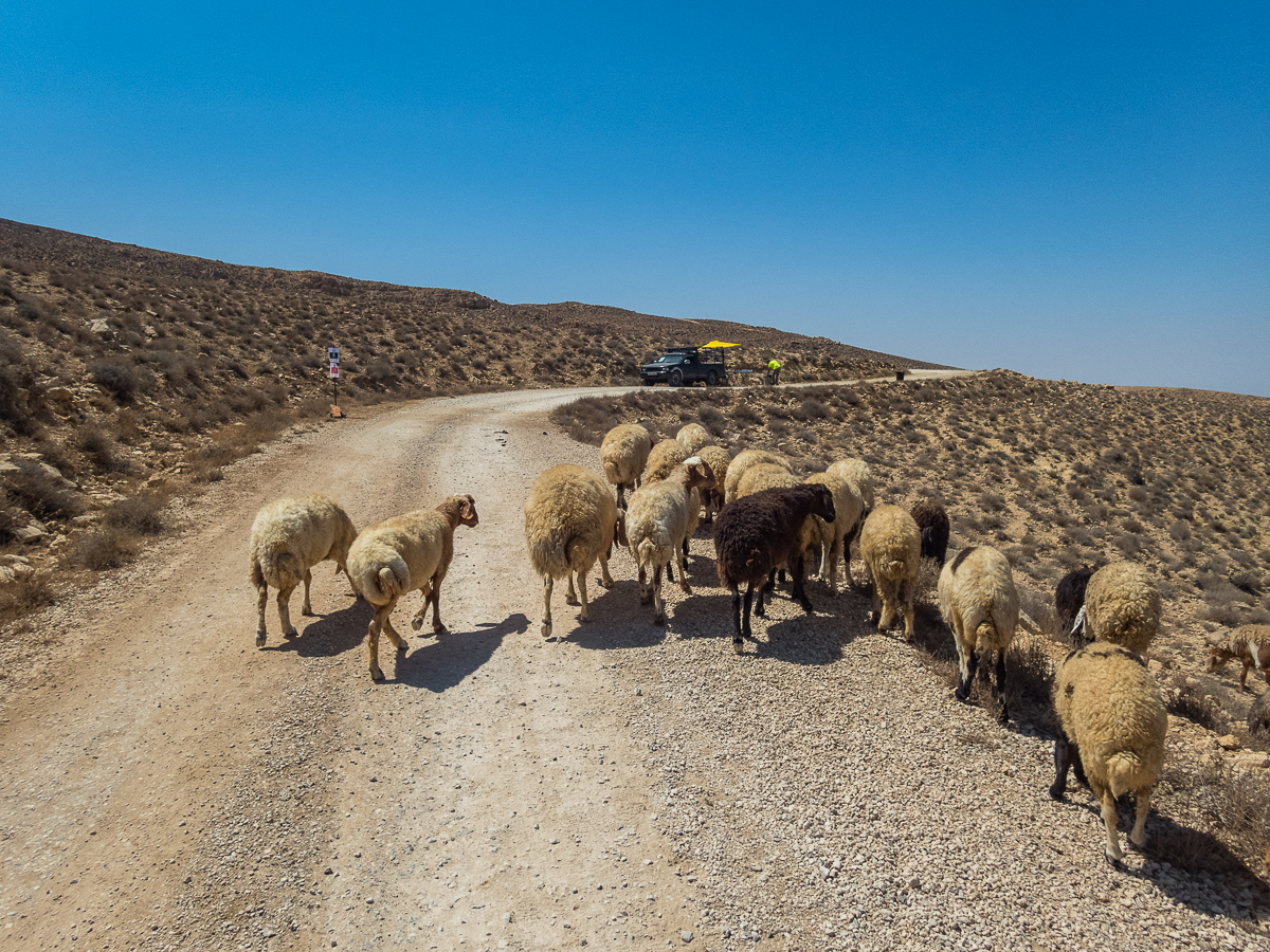 Petra Desert Marathon and the Dead Sea, Jordan - Tor Rnnow