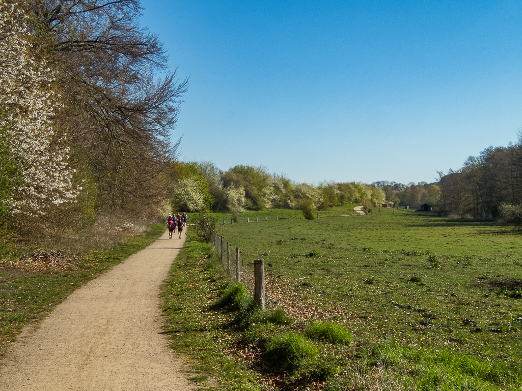 LbeMagasinet Rudersdal Marathon 2019 - Tor Rnnow