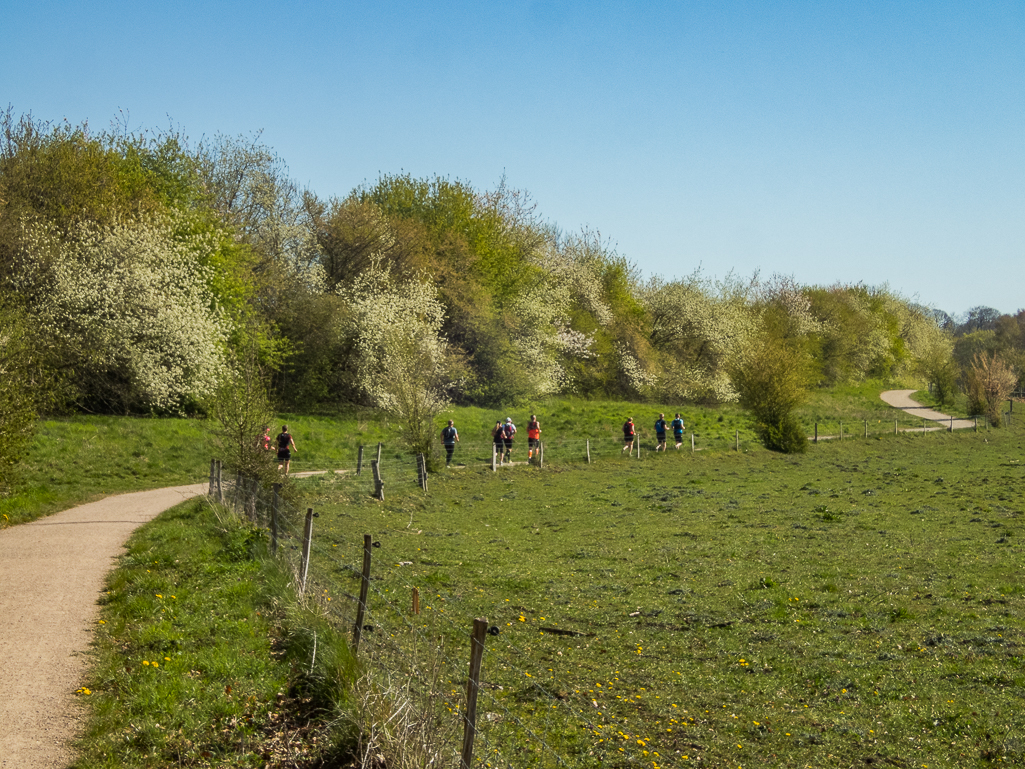 LbeMagasinet Rudersdal Marathon 2019 - Tor Rnnow