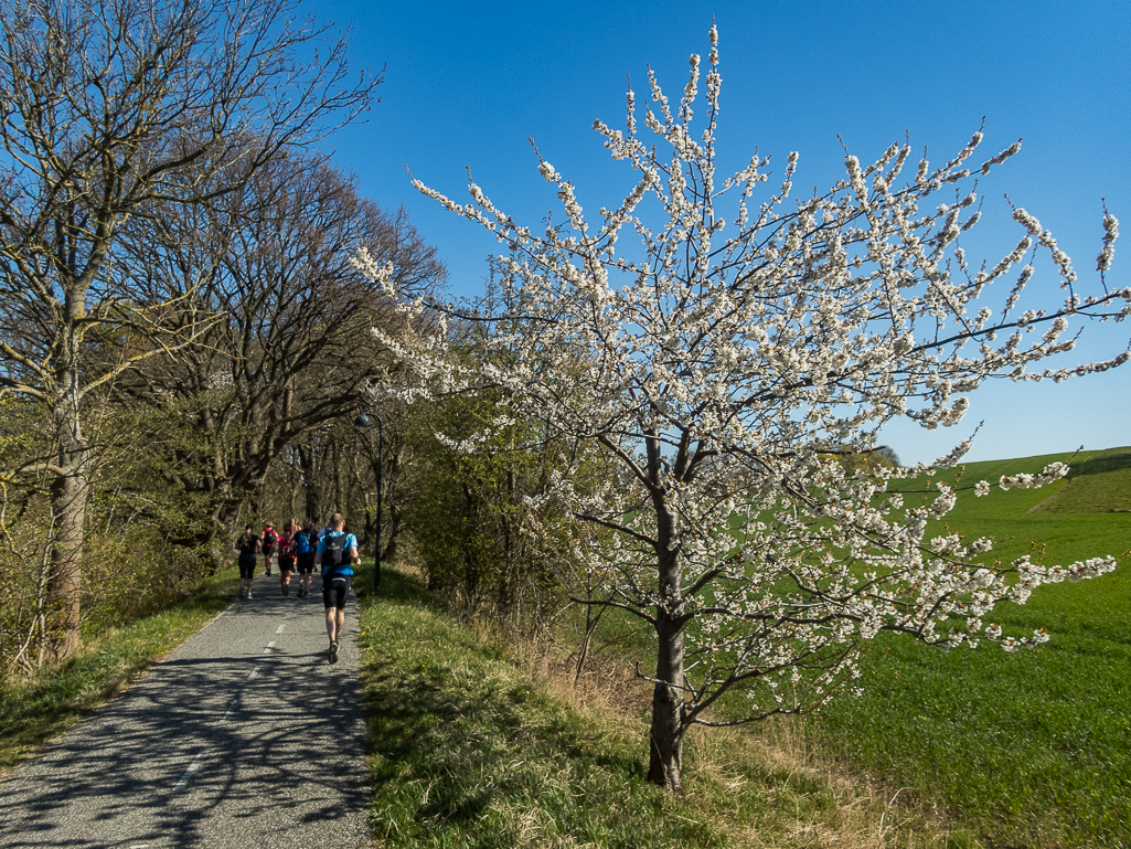 LbeMagasinet Rudersdal Marathon 2019 - Tor Rnnow