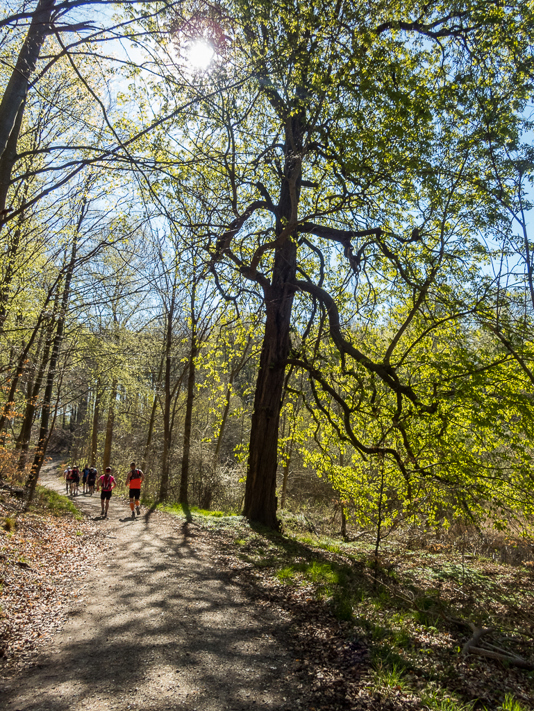 LbeMagasinet Rudersdal Marathon 2019 - Tor Rnnow