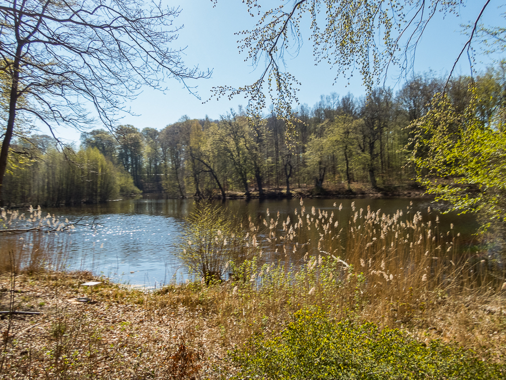 LbeMagasinet Rudersdal Marathon 2019 - Tor Rnnow