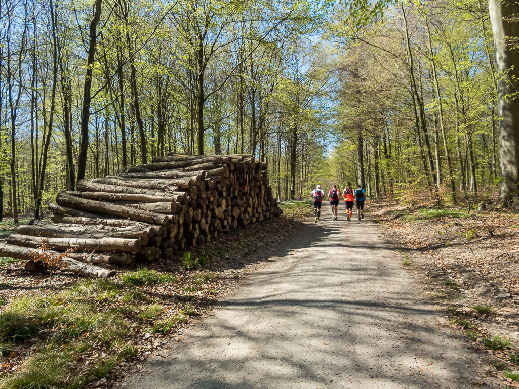 LbeMagasinet Rudersdal Marathon 2019 - Tor Rnnow