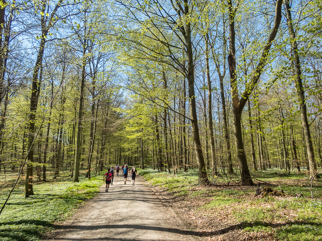 LbeMagasinet Rudersdal Marathon 2019 - Tor Rnnow