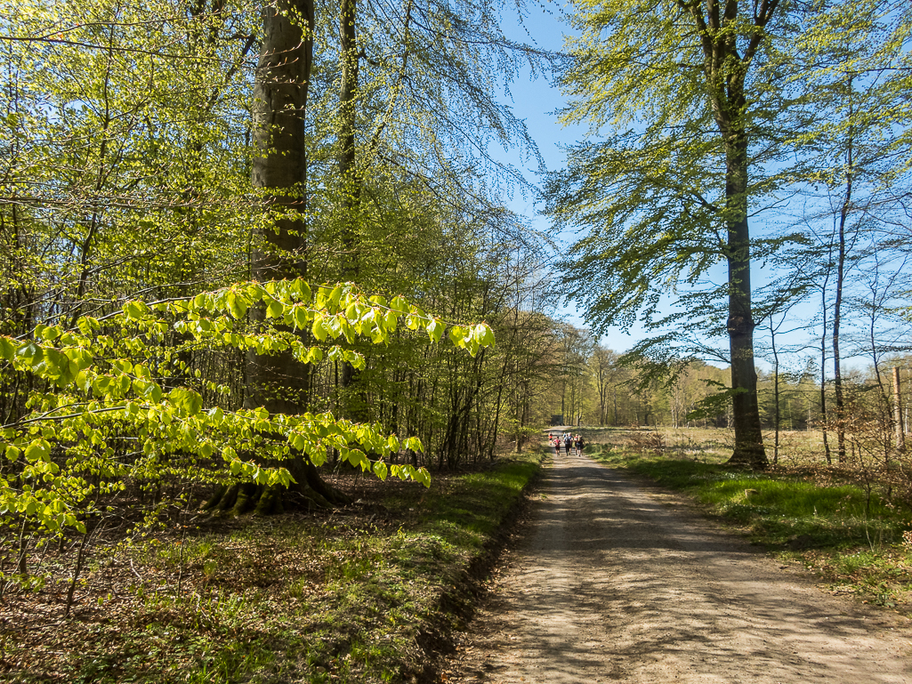 LbeMagasinet Rudersdal Marathon 2019 - Tor Rnnow