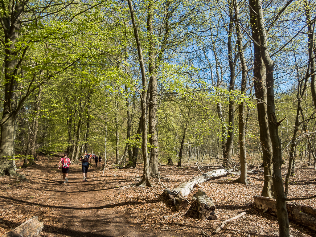 LbeMagasinet Rudersdal Marathon 2019 - Tor Rnnow