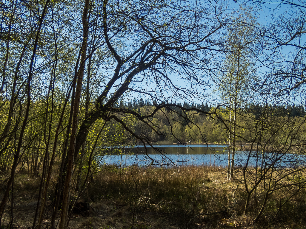 LbeMagasinet Rudersdal Marathon 2019 - Tor Rnnow