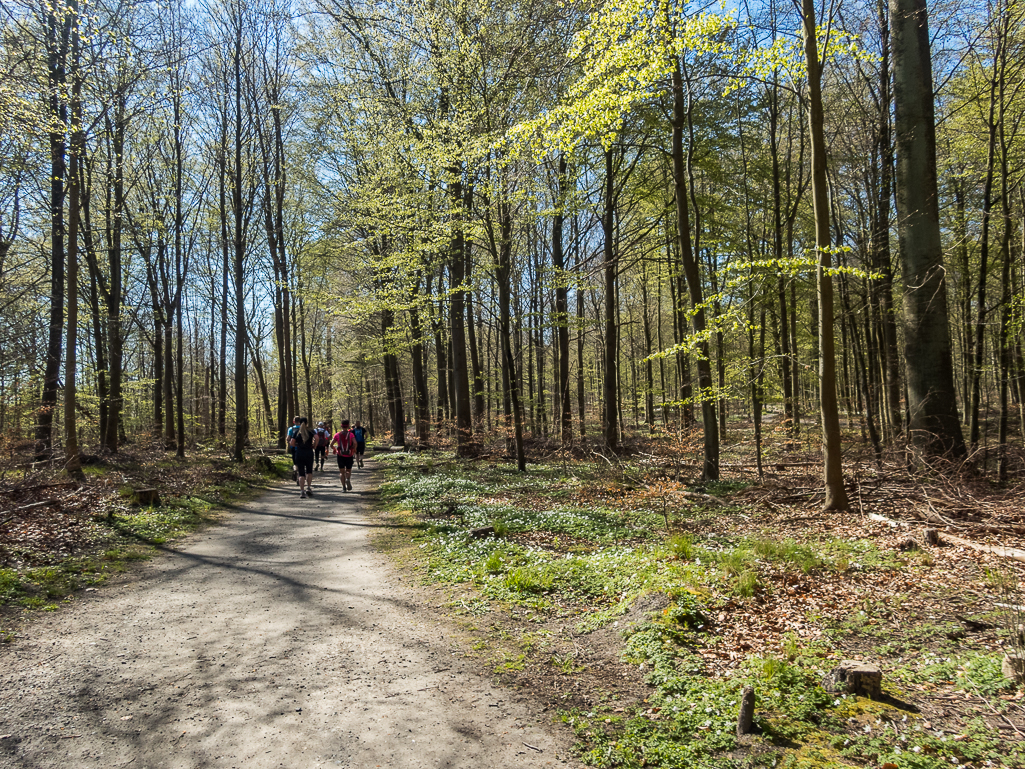 LbeMagasinet Rudersdal Marathon 2019 - Tor Rnnow