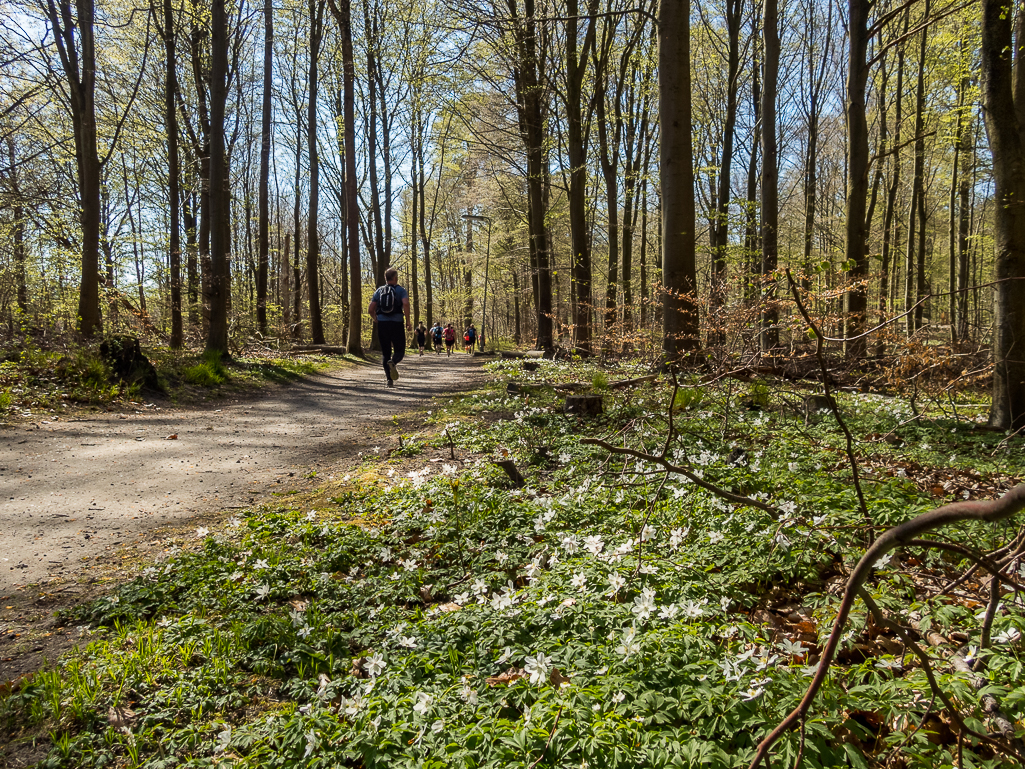 LbeMagasinet Rudersdal Marathon 2019 - Tor Rnnow