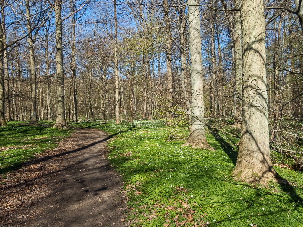 LbeMagasinet Rudersdal Marathon 2019 - Tor Rnnow