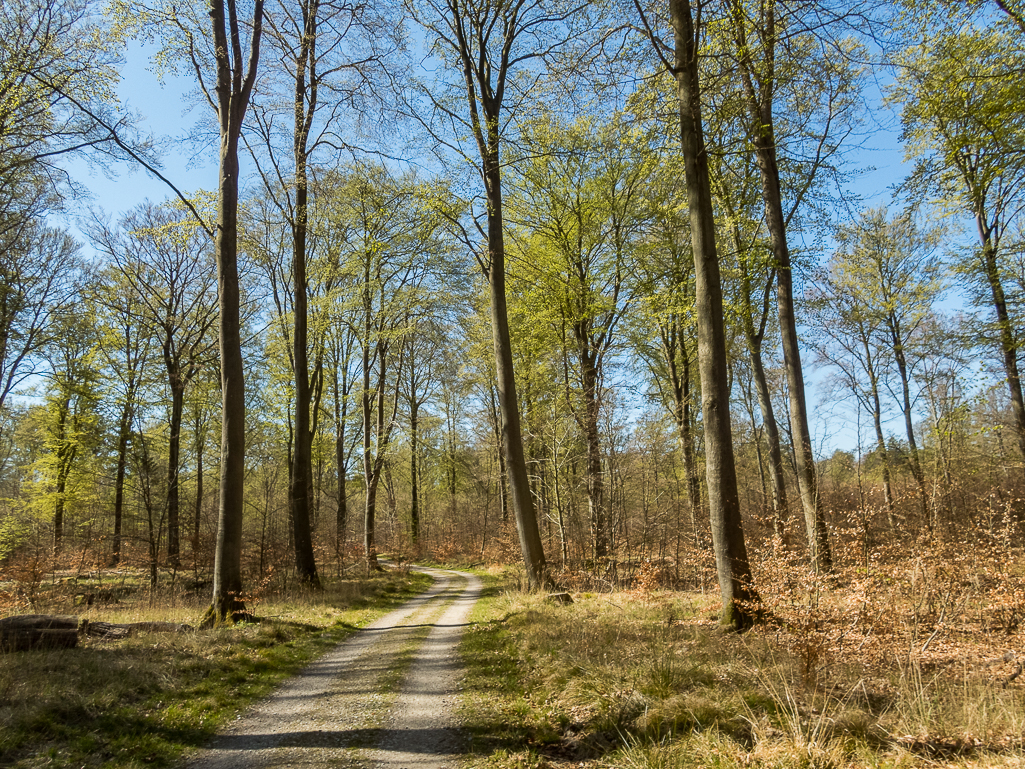 LbeMagasinet Rudersdal Marathon 2019 - Tor Rnnow